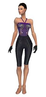 Mesmer Elite Rogue armor f gray front arms legs.png
