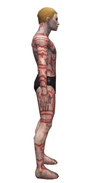 File:Necromancer Scar Pattern armor m dyed right.jpg