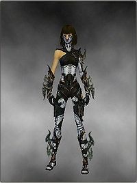 Assassin Elite Kurzick armor f white front.jpg