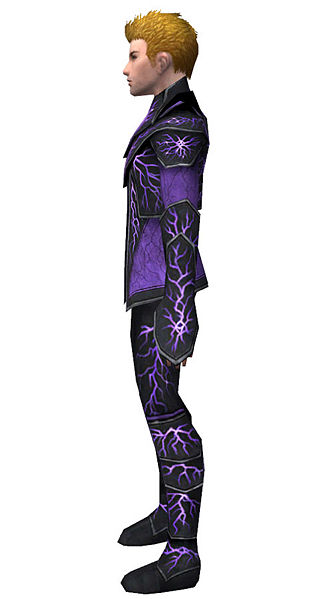 File:Elementalist Elite Stormforged armor m dyed left.jpg
