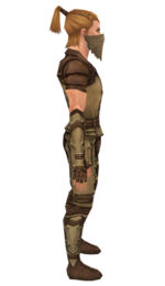 Ranger Ascalon armor m dyed right.jpg