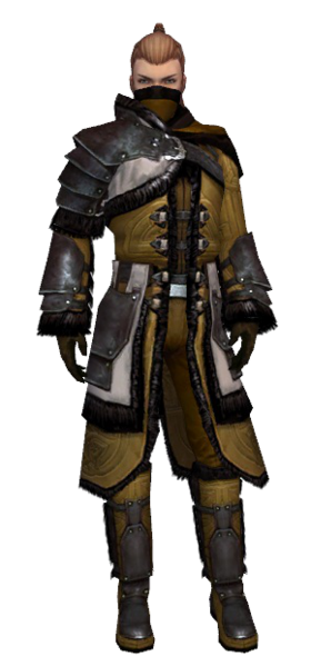 File:Ranger Norn armor m dyed front.png