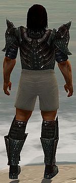 Warrior Elite Dragon armor m gray back chest feet.jpg
