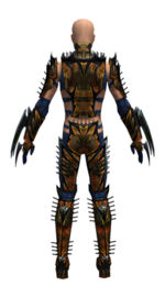 Assassin Elite Exotic armor m dyed back.jpg