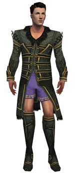Mesmer Primeval armor m gray front chest feet.png