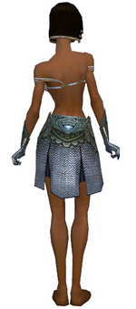 Paragon Monument armor f gray back arms legs.png