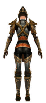 Warrior Elite Canthan armor f dyed back.jpg