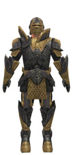 Warrior Elite Platemail armor m dyed front.jpg