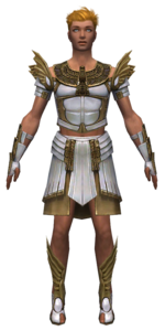 Paragon Ancient armor m dyed front.png