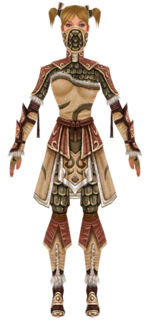 Ranger Elite Canthan armor f dyed front.jpg