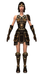 Warrior Shing Jea armor f dyed front.jpg