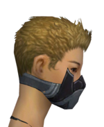 Assassin Elite Canthan Mask f gray right.png