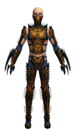 Assassin Elite Exotic armor m dyed front.jpg