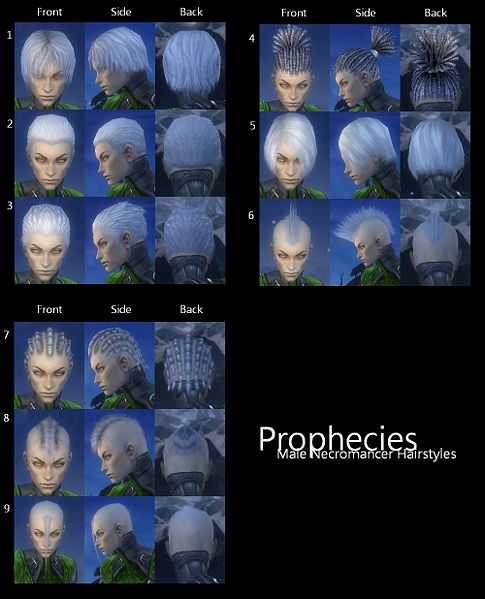 File:Prophecies Male Necromancer Hairstyles.JPG