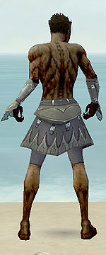 Necromancer Cabal armor m gray back arms legs.jpg