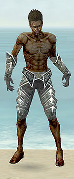 Necromancer Fanatic armor m gray front arms legs.jpg