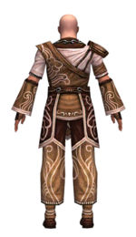 Monk Canthan armor m dyed back.jpg