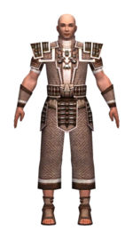 Monk Elite Judge armor m dyed front.jpg