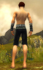 Elementalist Elite Luxon armor m gray back arms legs.jpg