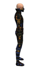 Assassin Elite Kurzick armor m dyed right.jpg