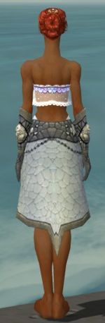 Elementalist Stoneforged armor f gray back arms legs.jpg