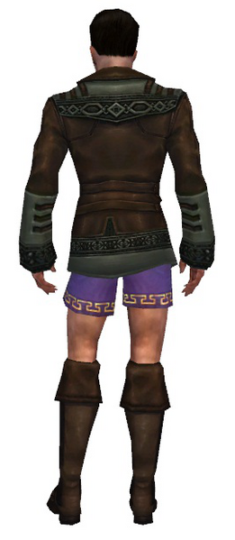 File:Mesmer Istani armor m gray back chest feet.png