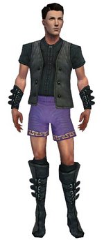 Mesmer Rogue armor m gray front chest feet.png