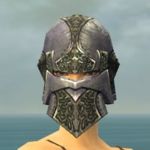 Warrior Platemail armor f gray front head.jpg