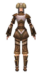 Monk Elite Canthan armor f dyed back.jpg