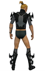 Assassin Kurzick armor m gray back chest feet.png