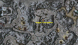 Frozen Forest collectors map.jpg