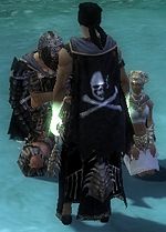 Guild The King Pirates Cape.jpg