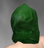 Vale Veil costume f green back head.jpg