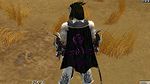 Guild The Koon And Friends cape.jpg