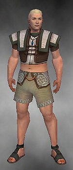 Monk Elite Woven armor m gray front chest feet.jpg