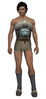 Dervish Norn armor m gray front chest feet.png