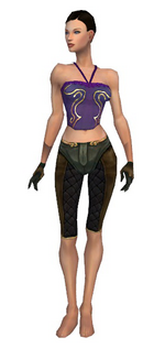 Mesmer Ancient armor f gray front arms legs.png