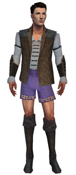 Mesmer Enchanter armor m gray front chest feet.png