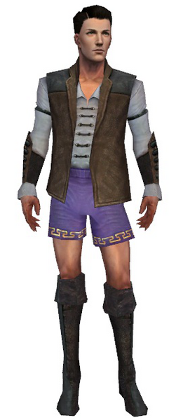 File:Mesmer Enchanter armor m gray front chest feet.png