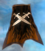 Guild The Flaming Swords cape.jpg
