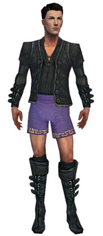 Mesmer Elite Rogue armor m gray front chest feet.png