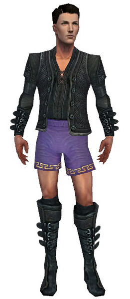 File:Mesmer Elite Rogue armor m gray front chest feet.png