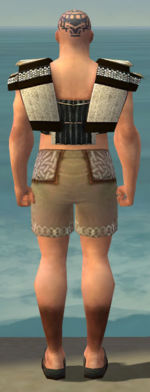 Monk Elite Sunspear armor m gray back chest feet.jpg