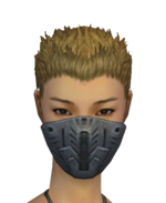 Assassin Elite Imperial Mask f gray front.png