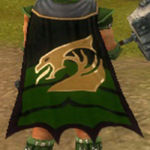 Guild Dragons Of The Jade Sea cape.jpg
