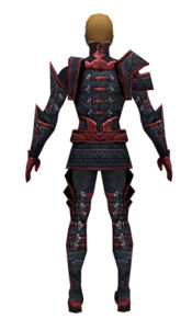 Necromancer Elite Cultist armor m dyed back.jpg
