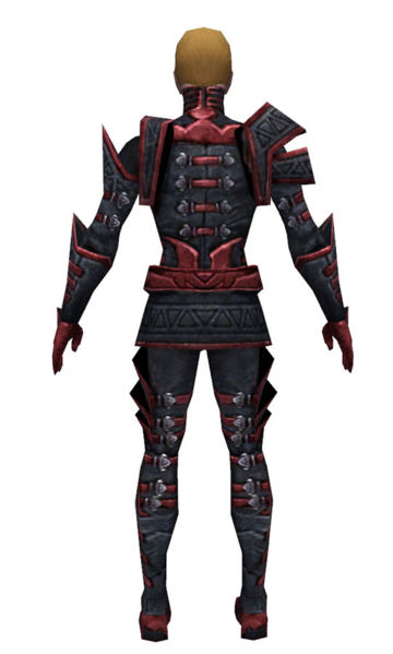 File:Necromancer Elite Cultist armor m dyed back.jpg
