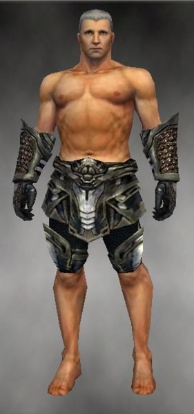 File:Warrior Elite Kurzick armor m gray front arms legs.jpg