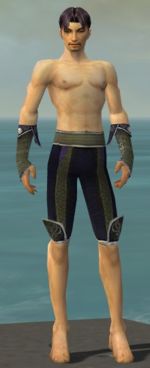 Elementalist Canthan armor m gray front arms legs.jpg