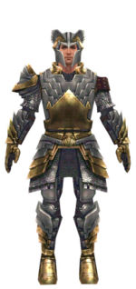 Warrior Templar armor m dyed front.jpg